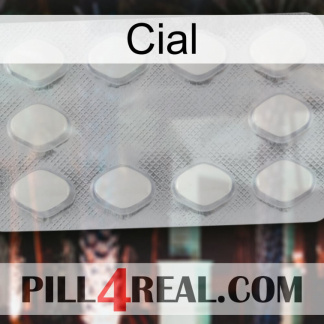 Cial 16